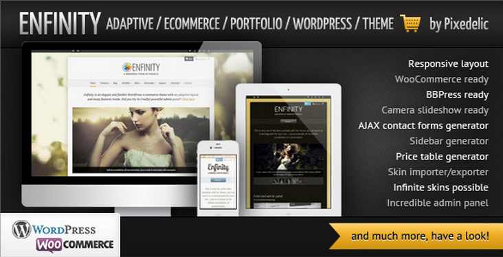 enfinity wordpress theme