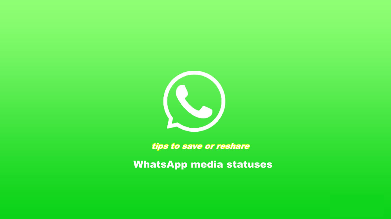 how to download WhatsApp media status to gallery