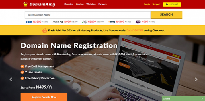 domainking.Ng hosting review