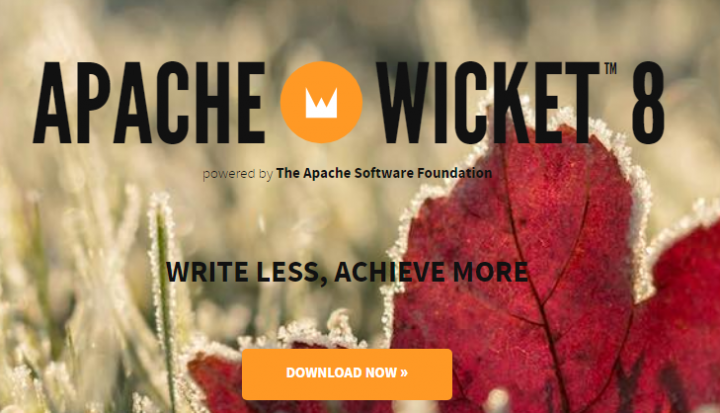 wicket framework