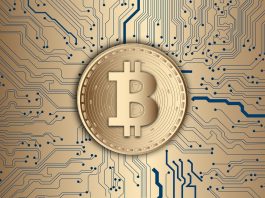 bitcoin tips