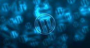 fix wordpress errors