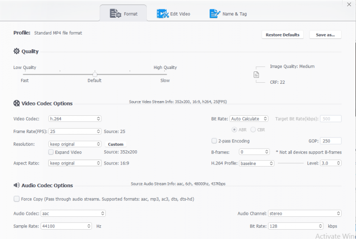 Custom Formats Parameter and Conversion