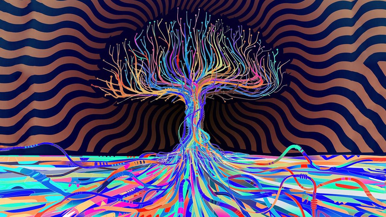 Trippy Mushroom