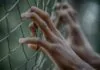 Fix America’s Broken Prison System