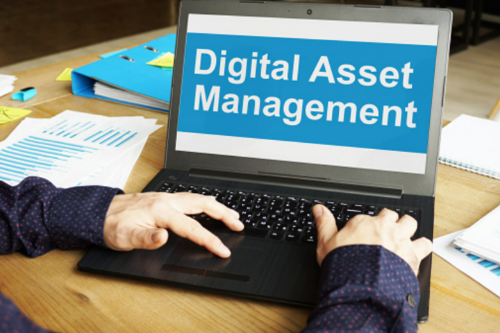 Digital Asset Management for the Future