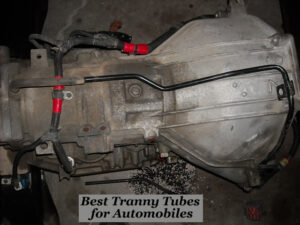 9 Best Tranny Tubes of 2022 (Shemale Tubes that're Rock-solid)