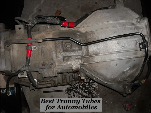 the best Tranny Tubes