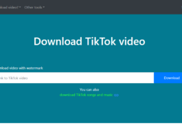 Best TikTok Downloader App for Phone and PC