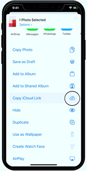 Look for the "Copy iCloud Link"