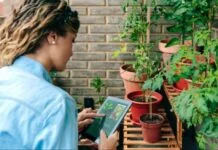 The Definitive Guide to Plant Care Applications