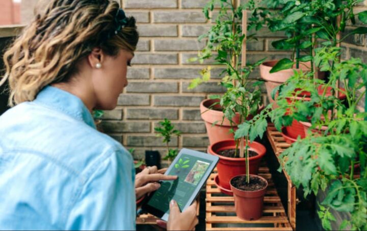 The Definitive Guide to Plant Care Applications