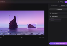 12 Best Watermark Removers for Images & Videos