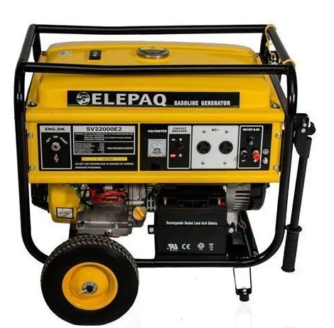 Elepaq Constant SV8800E2 5KVA