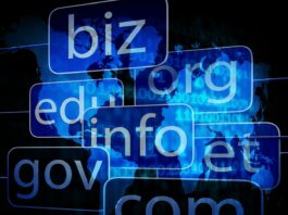Managing Your Domain Portfolio