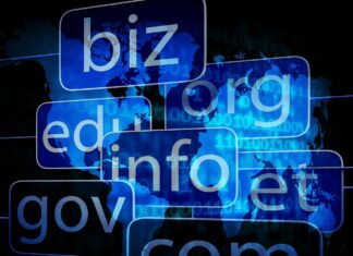 Managing Your Domain Portfolio