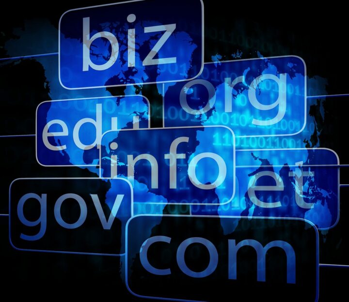Managing Your Domain Portfolio