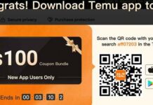 TEMU Affiliate Program 2025